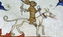 Изображение обложки Передачи - Тонкости эпох