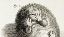 Изображение обложки Передачи - Живые мысли